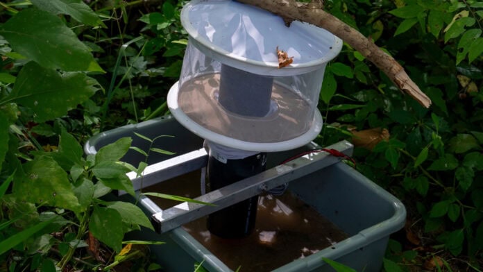 Mosquito trap