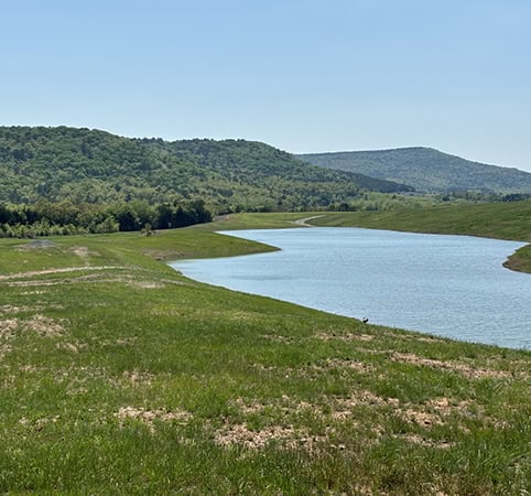 • Water Policy and Planning