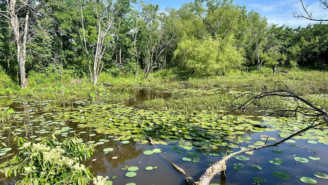 Watershed on the Choctaw reservation.